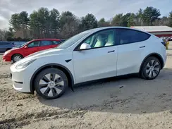 7SAYGAEE3PF664946 2023 TESLA MODEL Y