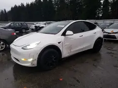7SAYGAEE4PF599993 2023 TESLA MODEL Y