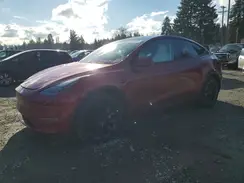 7SAYGAEE4RF991875 2024 TESLA MODEL Y