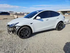 7SAYGAEE5NF517735 2022 TESLA MODEL Y