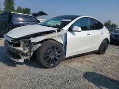 7SAYGAEE5PF624075 2023 TESLA MODEL Y