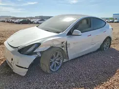 7SAYGAEE5RF064237 2024 TESLA MODEL Y