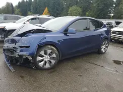 7SAYGAEE5RF995126 2024 TESLA MODEL Y