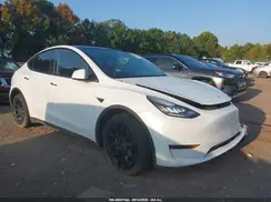 7SAYGAEE6NF464561 2022 TESLA MODEL Y