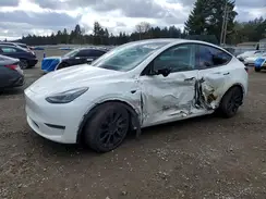7SAYGAEE7PF710326 2023 TESLA MODEL Y
