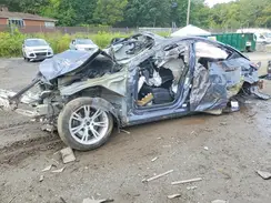 7SAYGAEE7PF741981 2023 TESLA MODEL Y