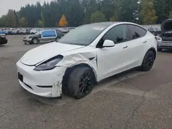 7SAYGAEE7RF157373 2024 TESLA MODEL Y
