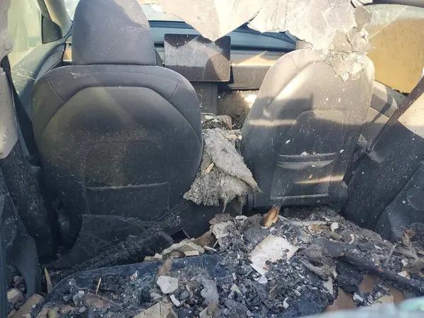 7SAYGAEE9RF005272 2024 TESLA MODEL Y - Image 8