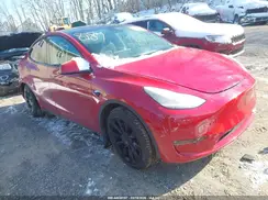 7SAYGAEEXPF584981 2023 TESLA MODEL Y