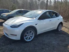 7SAYGAEEXPF642801 2023 TESLA MODEL Y