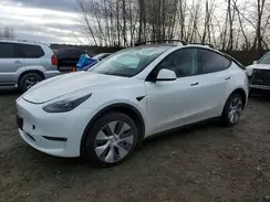 7SAYGAEEXPF672297 2023 TESLA MODEL Y