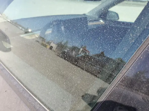 7SAYGAEEXPF764896 2023 TESLA MODEL Y - Image 8