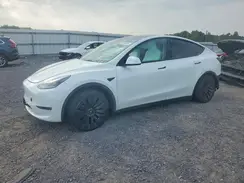 7SAYGAEEXRF073760 2024 TESLA MODEL Y