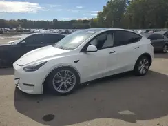 7SAYGAEEXRF981884 2024 TESLA MODEL Y