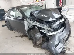 7SAYGDED0RA307572 2024 TESLA MODEL Y
