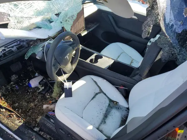 7SAYGDED0RF010868 2024 TESLA MODEL Y - Image 8