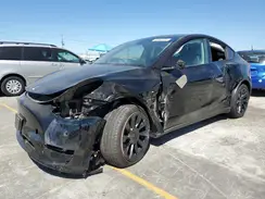 7SAYGDED0RF055146 2024 TESLA MODEL Y