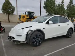 7SAYGDED0RF127799 2024 TESLA MODEL Y