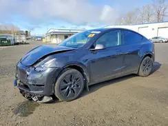 7SAYGDED0RF179210 2024 TESLA MODEL Y