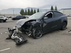 7SAYGDED0RF186481 2024 TESLA MODEL Y