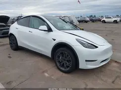 7SAYGDED0SF254509 2025 TESLA MODEL Y