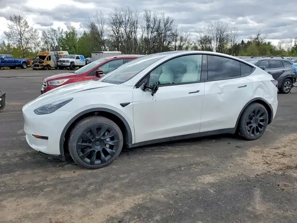 7SAYGDED0SF281595 2025 TESLA MODEL Y - Image 1