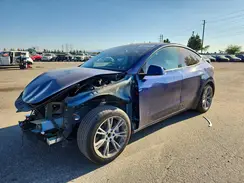 7SAYGDED1RF001905 2024 TESLA MODEL Y
