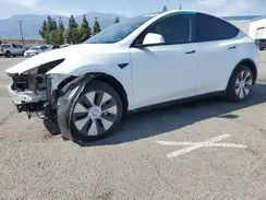 7SAYGDED1RF002570 2024 TESLA MODEL Y