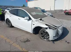7SAYGDED1RF230326 2024 TESLA MODEL Y