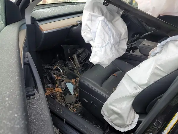 7SAYGDED1SA365440 2025 TESLA MODEL Y - Image 8