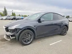 7SAYGDED1SF278317 2025 TESLA MODEL Y