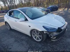 7SAYGDED2RF010631 2024 TESLA MODEL Y