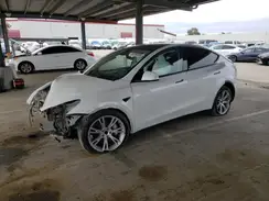 7SAYGDED2RF077262 2024 TESLA MODEL Y