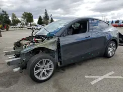 7SAYGDED2RF091436 2024 TESLA MODEL Y