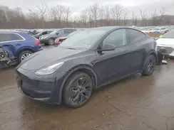 7SAYGDED2RF156334 2024 TESLA MODEL Y
