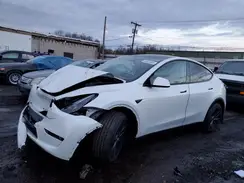 7SAYGDED2RF159699 2024 TESLA MODEL Y