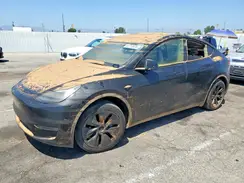 7SAYGDED2RF166149 2024 TESLA MODEL Y