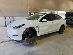 7SAYGDED2RF170234 2024 TESLA MODEL Y
