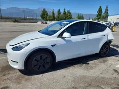 7SAYGDED2SF248453 2025 TESLA MODEL Y