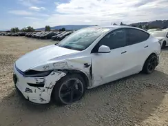 7SAYGDED2TF666156 2026 TESLA MODEL Y