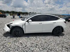 7SAYGDED3RF008242 2024 TESLA MODEL Y