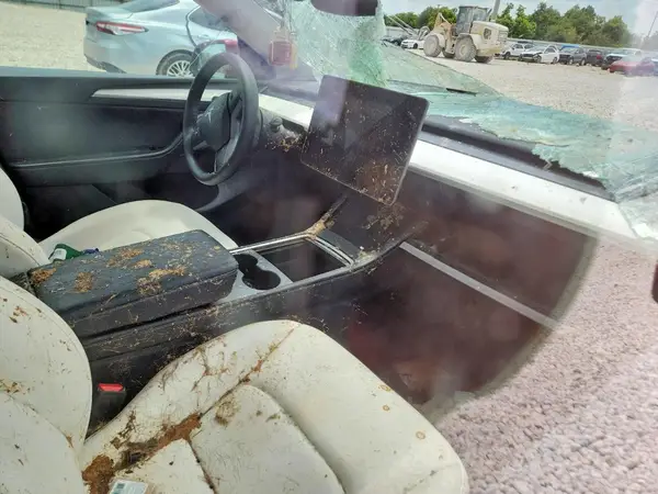 7SAYGDED3RF024862 2024 TESLA MODEL Y - Image 8