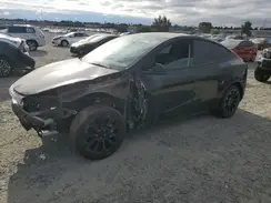 7SAYGDED3RF049437 2024 TESLA MODEL Y