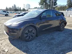 7SAYGDED3RF151577 2024 TESLA MODEL Y