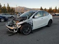 7SAYGDED3SF222525 2025 TESLA MODEL Y