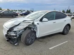 7SAYGDED3TF445035 2026 TESLA MODEL Y