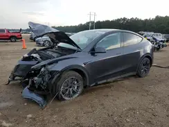 7SAYGDED4RF122556 2024 TESLA MODEL Y