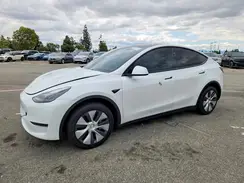 7SAYGDED4SF262824 2025 TESLA MODEL Y