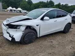 7SAYGDED4TA688785 2026 TESLA MODEL Y