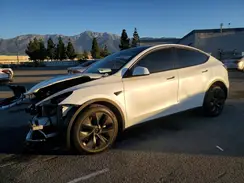 7SAYGDED5SF223532 2025 TESLA MODEL Y